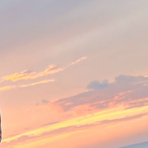 Meet your Posher, Ms.